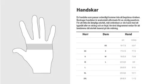 Storleksguide