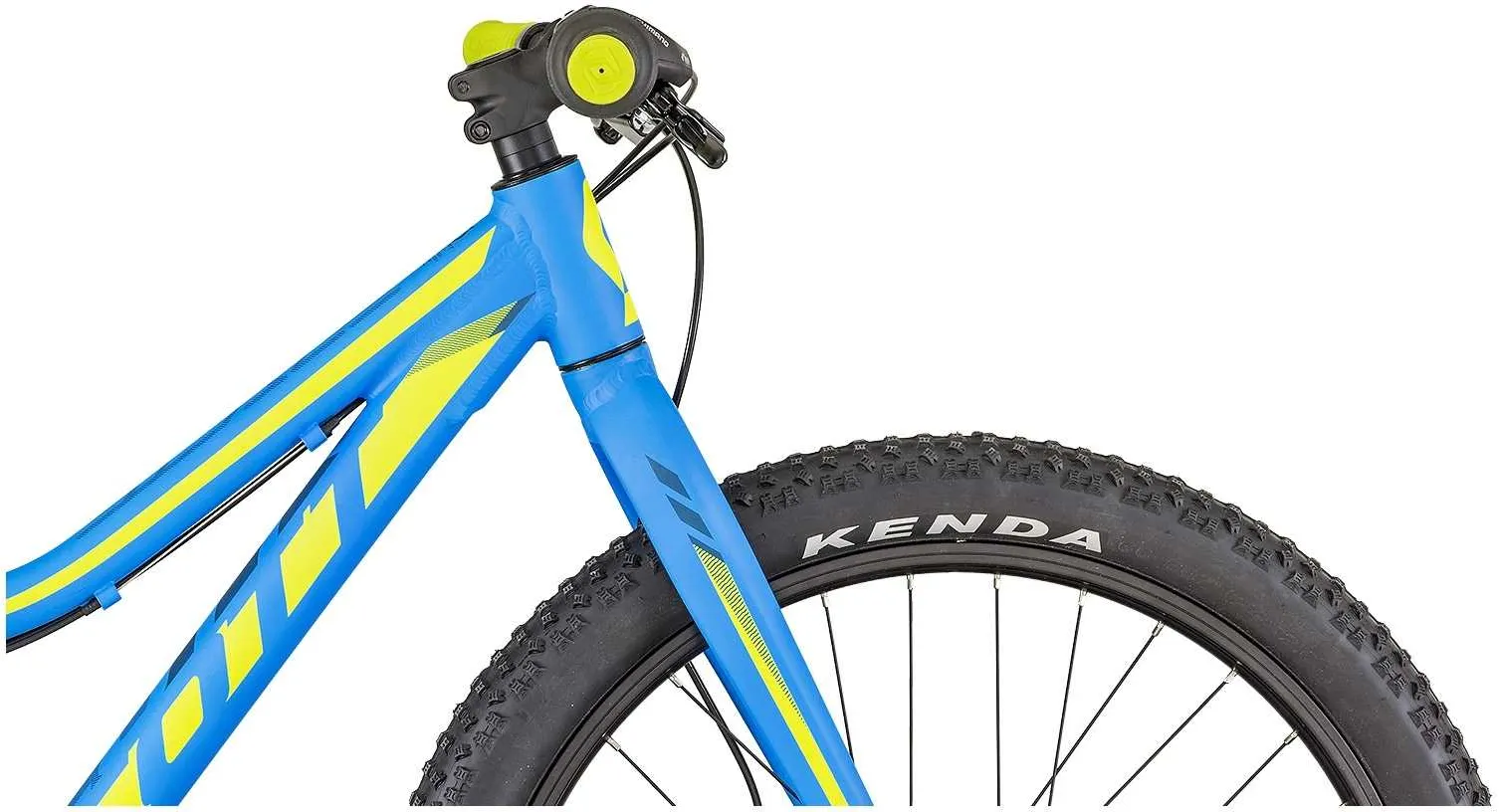 Scott Scale Jr 24