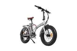 Elcykel RAWBIKE Classic 250W Snowstorm